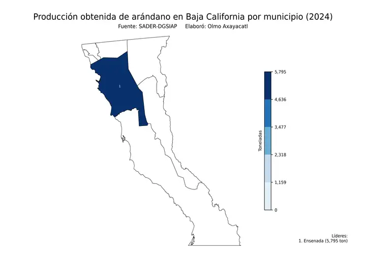 Producción obtenida de arándano en Baja California por municipio