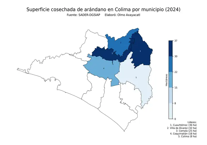 Superficie cosechada de arándano en Colima por municipio