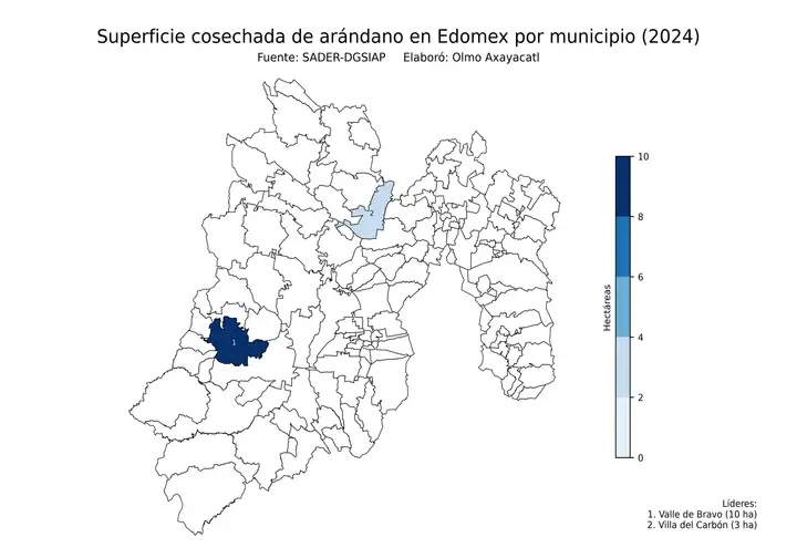 Superficie cosechada de arándano en Estado de México por municipio