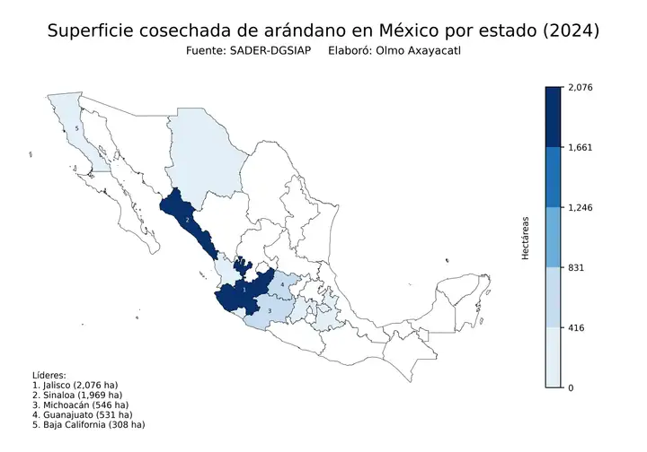 Superficie cosechada de arándano en México por estado