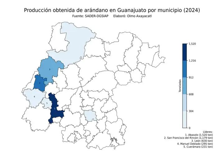 Producción obtenida de arándano en Guanajuato por municipio