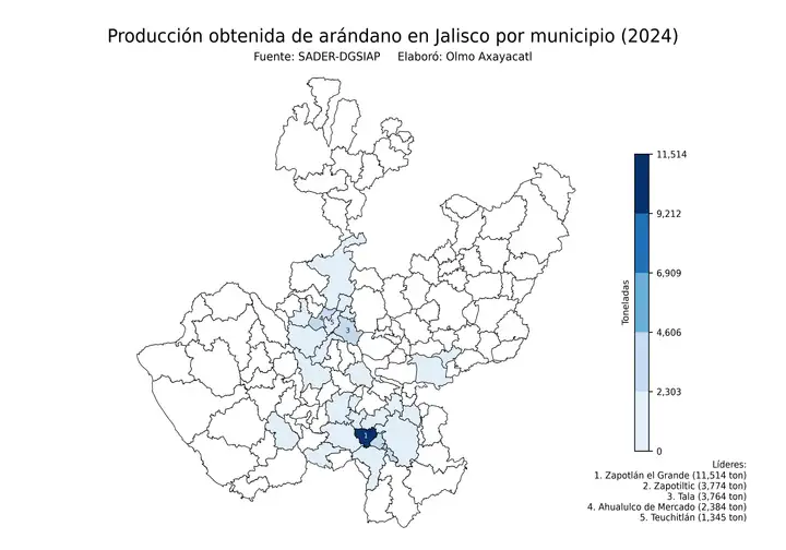 Producción obtenida de arándano en Jalisco por municipio