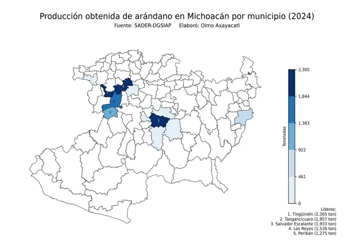 Producción obtenida de arándano en Michoacán por municipio