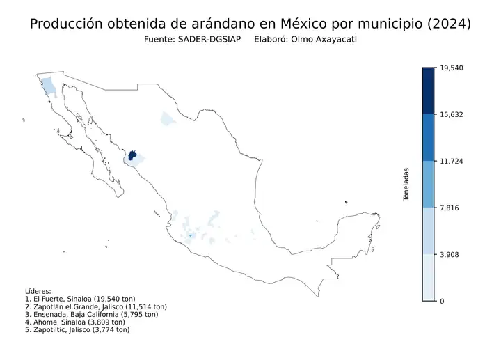 Producción obtenida de arándano en México por municipio