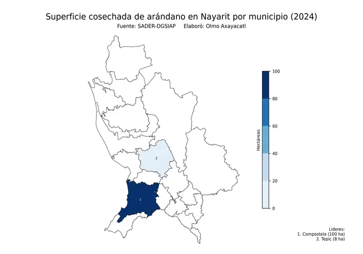 Superficie cosechada de arándano en Nayarit por municipio