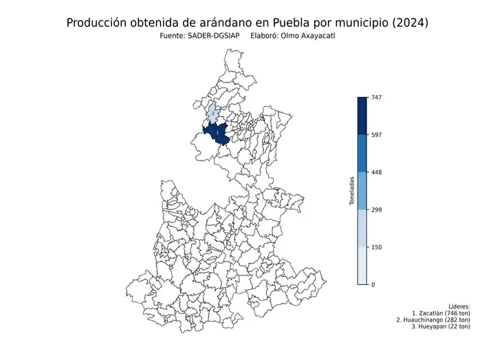 Producción obtenida de arándano en Puebla por municipio