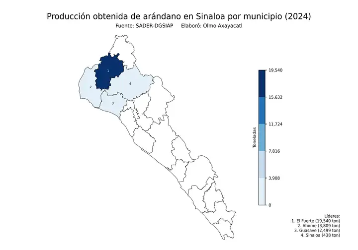 Producción obtenida de arándano en Sinaloa por municipio