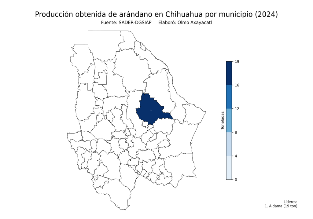 México Producción Agrícola Arándano Chihuahua (producción obtenida)