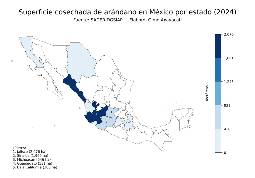 México Producción Agrícola Arándano (Estados Superficie)