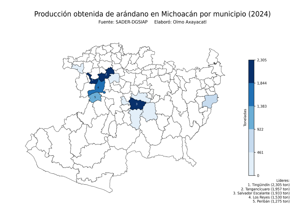México Producción Agrícola Arándano Michoacán (producción obtenida)
