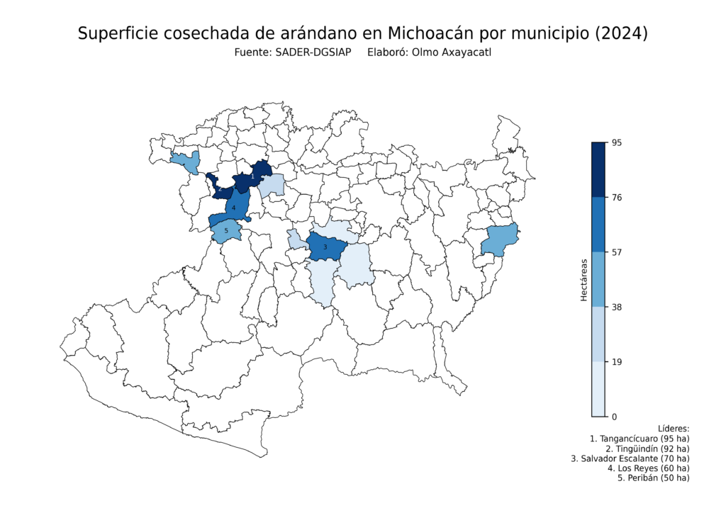 México Producción Agrícola Arándano Michoacán (superficie cosechada)