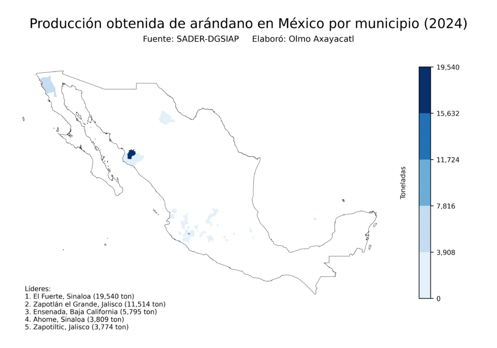 México Producción Agrícola Arándano (Municipios Producción)