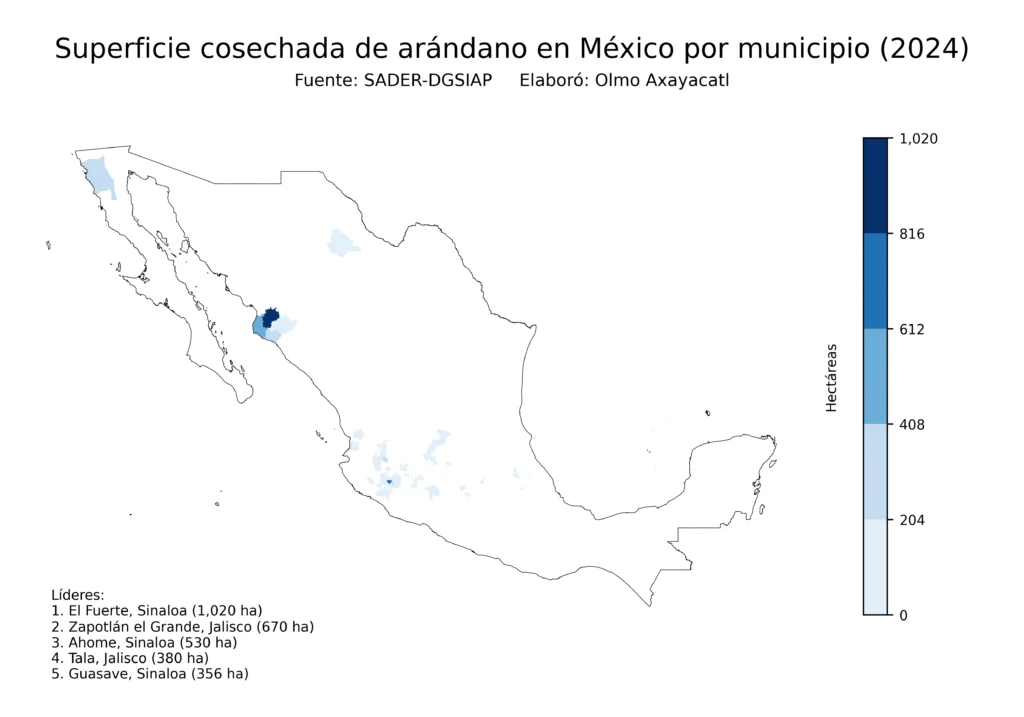 México Producción Agrícola Arándano (Municipios Superficie)