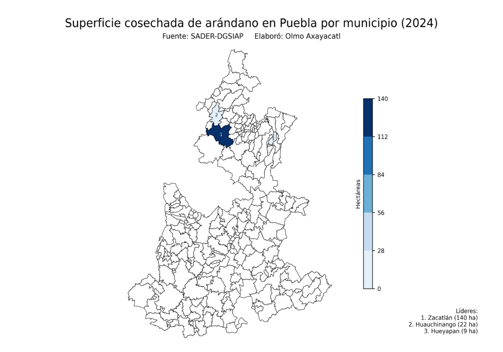 México Producción Agrícola Arándano Puebla (superficie cosechada)