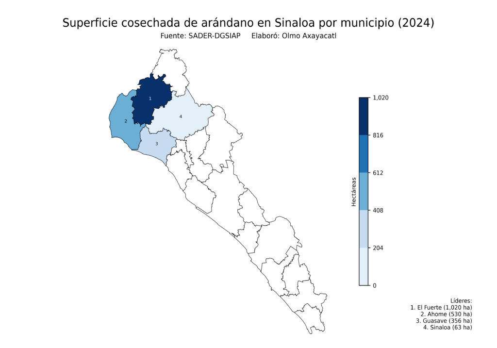México Producción Agrícola Arándano Sinaloa (superficie cosechada)
