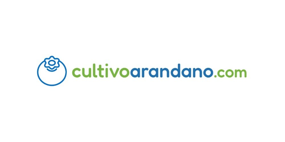 Curiosidades diversas sobre el cultivo de arándano